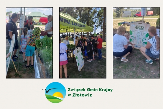 Sadzonki do rozdania za eko działania - fotorelacja - Zakrzewo