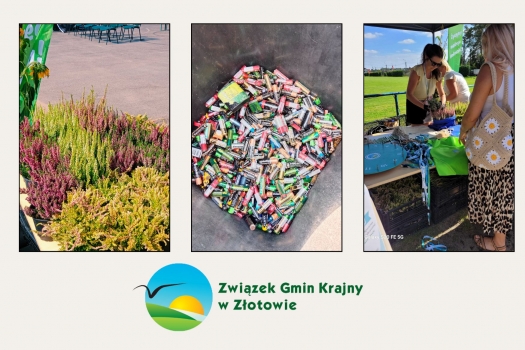 Sadzonki do rozdania za eko działania - fotorelacja - Tarnówka