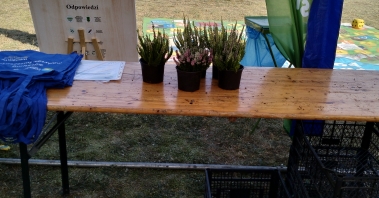 img20240907151338.jpg