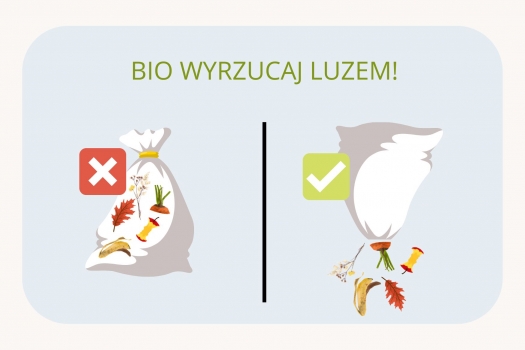 Segregacja bioodpadów – to ma znaczenie!