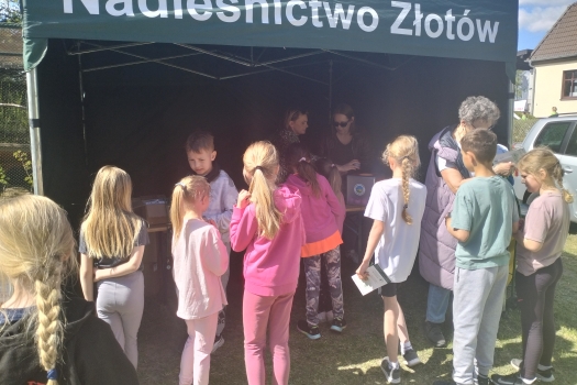 Miniatura Za nami kolejna edycja Złotowskiego Biegu Zawilca!